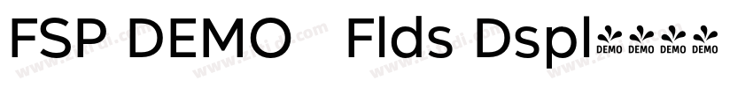 FSP DEMO   Flds Dspl字体转换